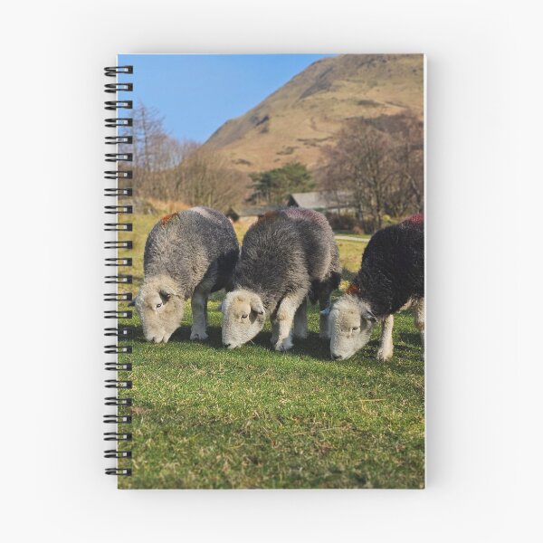 Artikelvorschau, Munching Herdwicks entworfen und verkauft von Kat Simmons.
