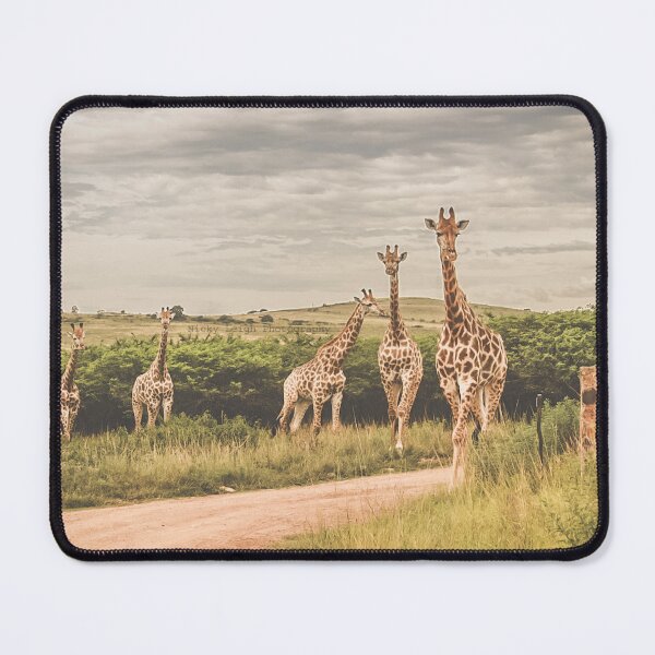 Item preview, Tower of giraffe designed and sold by NickyLeighPhoto.