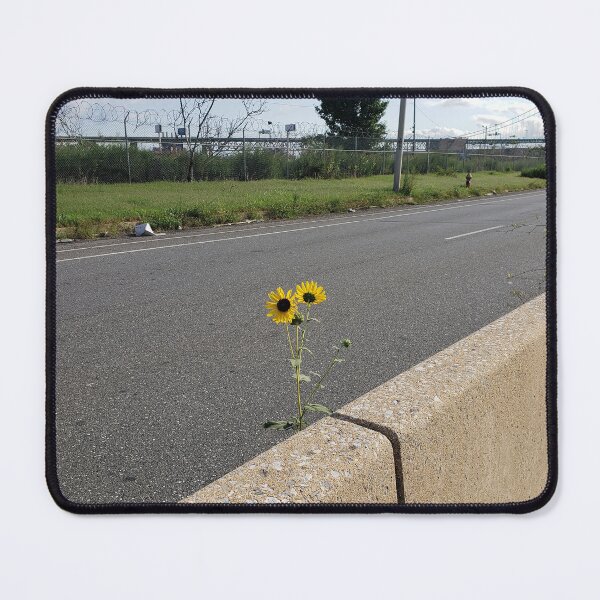 Item preview, Highway Sunflowers 8 designed and sold by concretebotany.