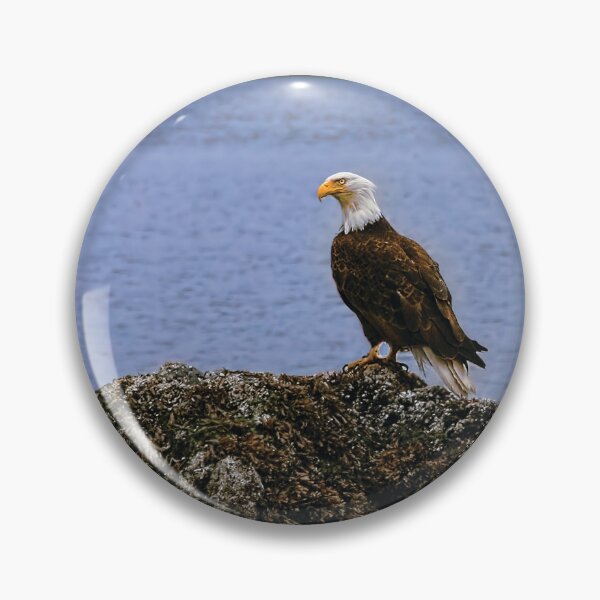Item preview, Fish Eagle Fishing designed and sold by Kay Brewer.