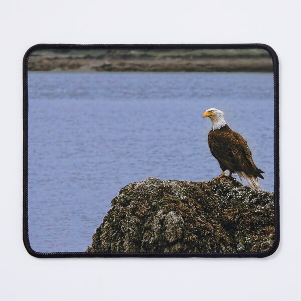 Item preview, Fish Eagle Fishing designed and sold by Kay Brewer.