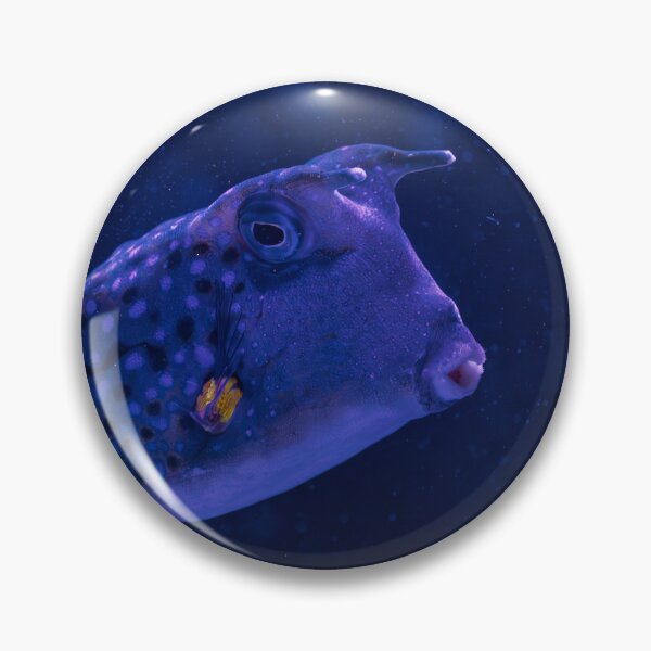 Item preview, Pez vaca de cuernos largos azul bajo el agua designed and sold by Mutezone.