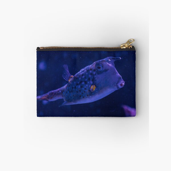 Item preview, Blue longhorn cowfish underwater designed and sold by Mutezone.