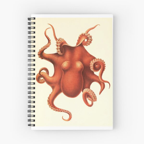 Item preview, Octopus by Ewald Rübsamen 1910 designed and sold by fandomtrash97.