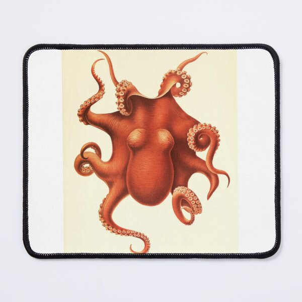 Item preview, Octopus by Ewald Rübsamen 1910 designed and sold by fandomtrash97.