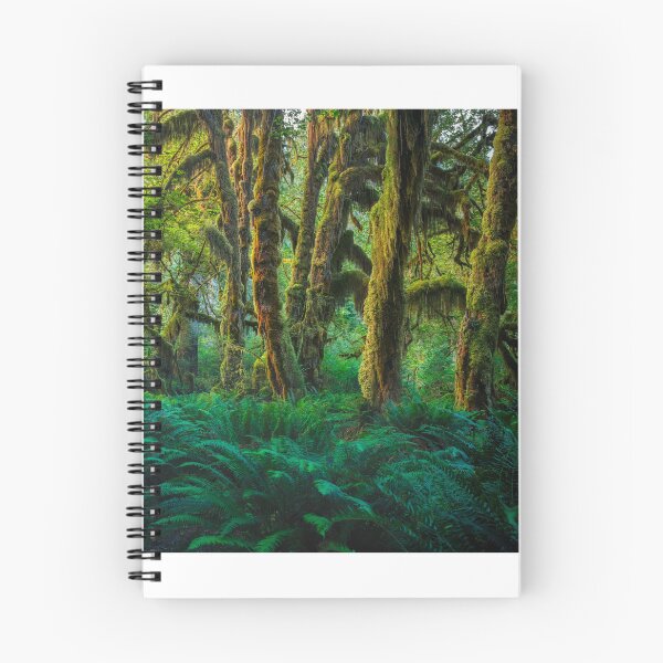 Item preview, Hoh Rainforest designed and sold by Adam Northam.