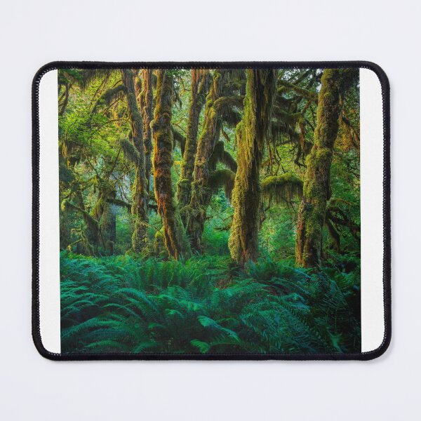 Item preview, Hoh Rainforest designed and sold by Adam Northam.