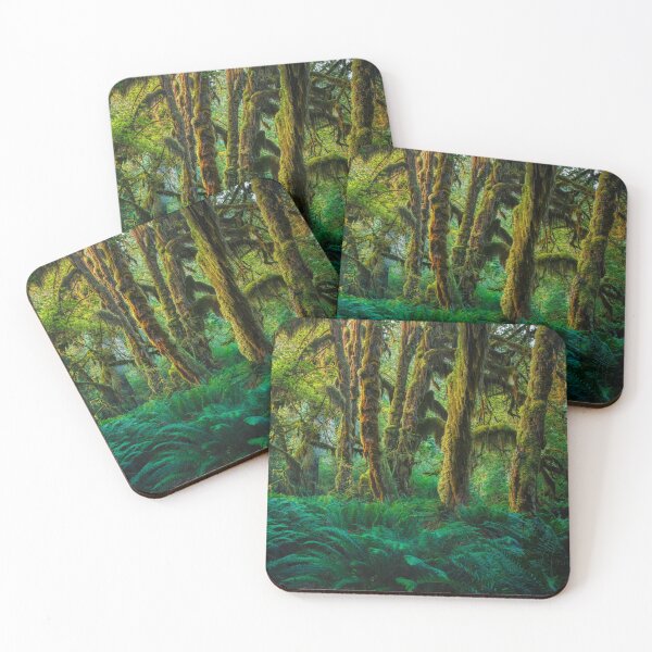 Item preview, Hoh Rainforest designed and sold by Adam Northam (Home & Away Photography).