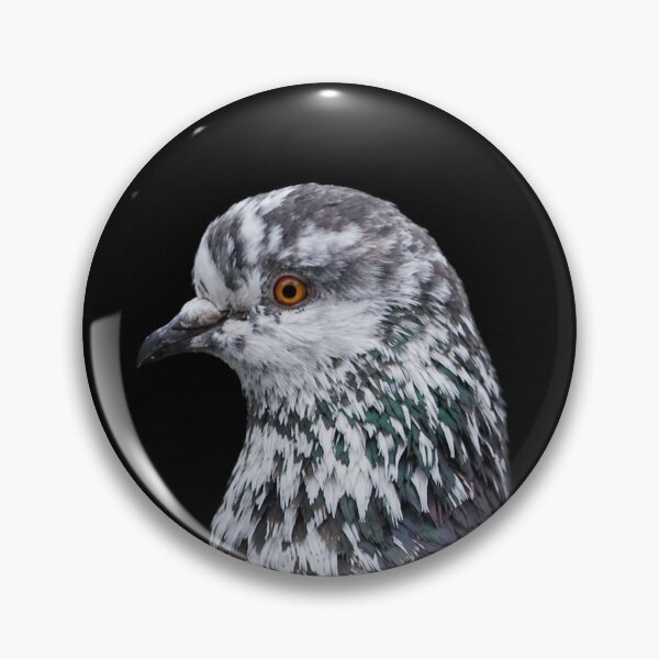 Item preview, Pigeon Portrait I designed and sold by sophimagination.