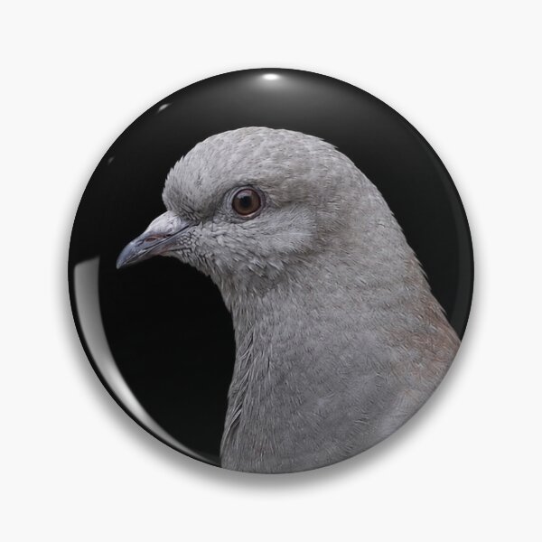 Item preview, Pigeon Portrait II designed and sold by sophimagination.