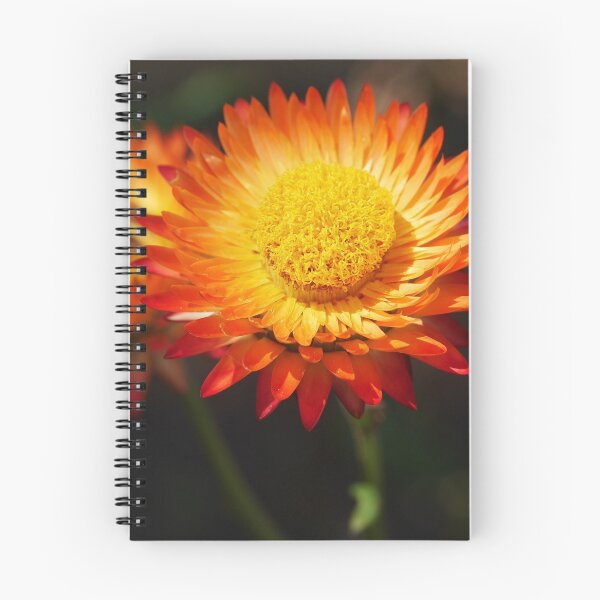Item preview, Paper Daisy (5) designed and sold by Larry Davis.