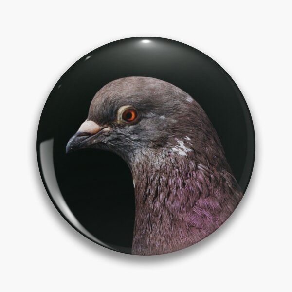 Item preview, Pigeon Portrait III designed and sold by sophimagination.