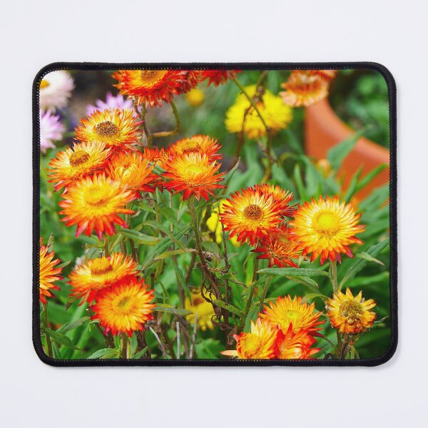 Item preview, Paper Daisy (6) designed and sold by Larry Davis.