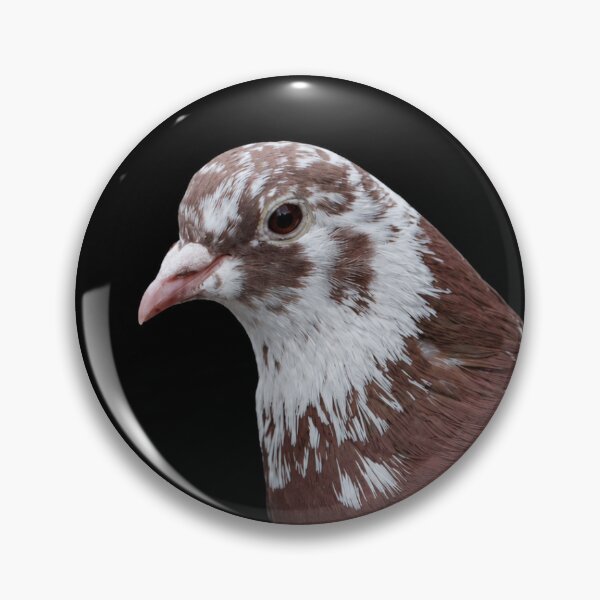 Item preview, Pigeon Portrait V designed and sold by sophimagination.