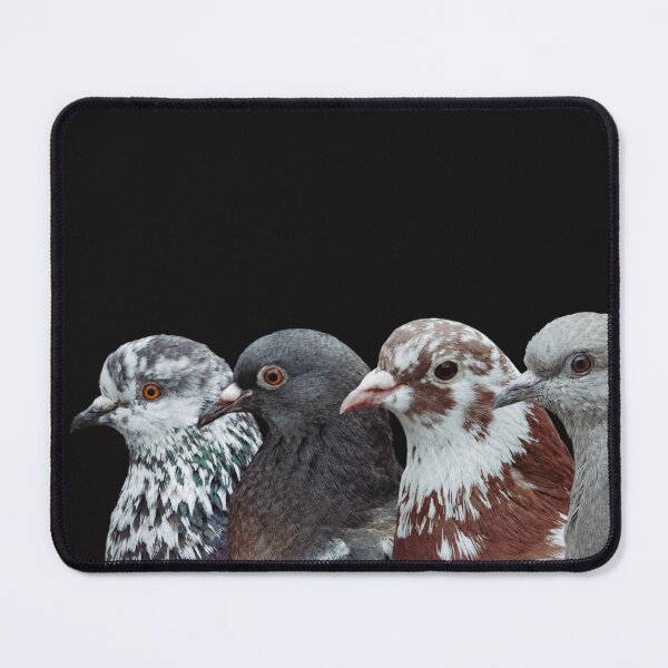 Item preview, Pigeon Diversity designed and sold by sophimagination.