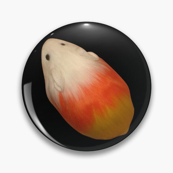 Item preview, Candy Corn Guinea Pig designed and sold by Lydia.Create.