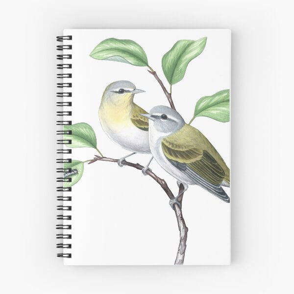 Item preview, Tennessee Warbler (Leiothlypis peregrina) designed and sold by JadaFitch.
