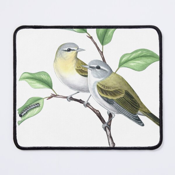 Item preview, Tennessee Warbler (Leiothlypis peregrina) designed and sold by JadaFitch.