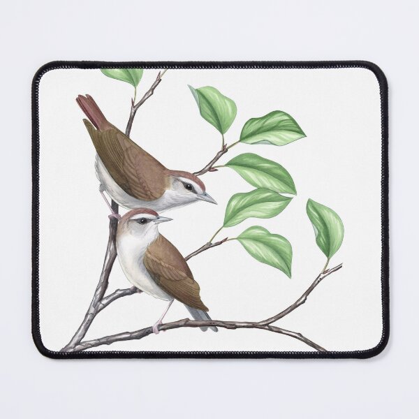 Item preview, Swainson's Warbler (Limnothlypis swainsonii) designed and sold by JadaFitch.
