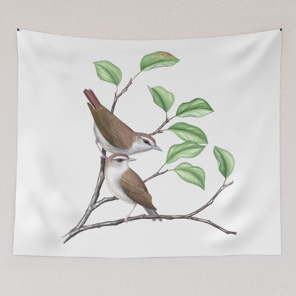 Item preview, Swainson's Warbler (Limnothlypis swainsonii)  designed and sold by JadaFitch.