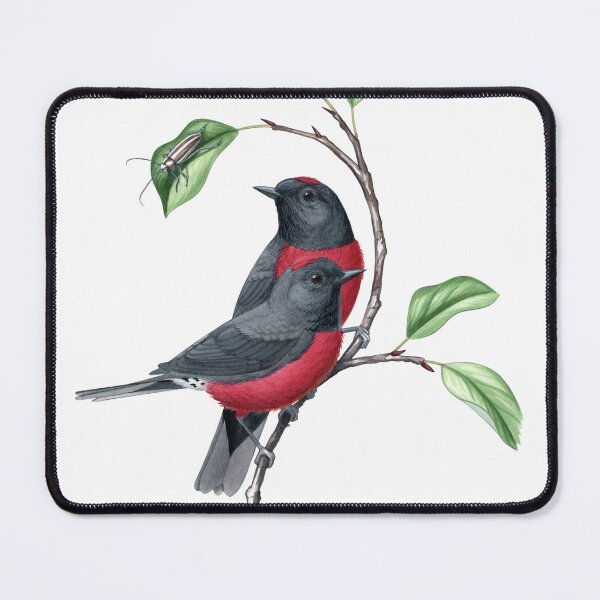Item preview, Slate-throated Redstart (Myioborus miniatus) designed and sold by JadaFitch.
