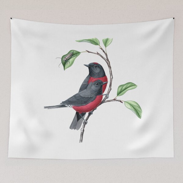 Item preview, Slate-throated Redstart (Myioborus miniatus) designed and sold by JadaFitch.