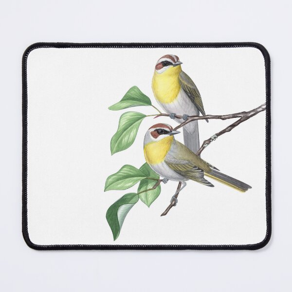 Item preview, Rufous-capped Warbler designed and sold by JadaFitch.