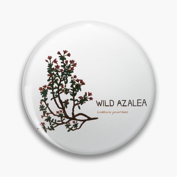 Artikelvorschau, Wilde Azalee - Loiseleunia procumbens entworfen und verkauft von kindbotanicals.