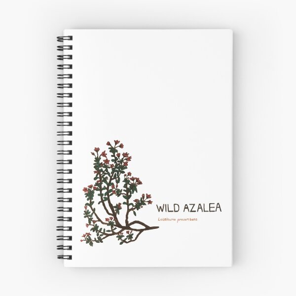 Item preview, Wild Azalea - Loiseleunia procumbens designed and sold by kindbotanicals.
