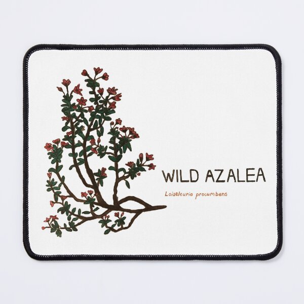 Item preview, Wild Azalea - Loiseleunia procumbens designed and sold by kindbotanicals.