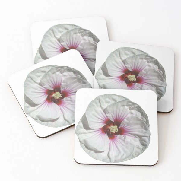 Item preview, Hibisco blanco 23-08-2026 designed and sold by Thomasyoung.