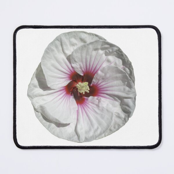Item preview, White Hibiscus 8-23-2026 designed and sold by Thomasyoung.