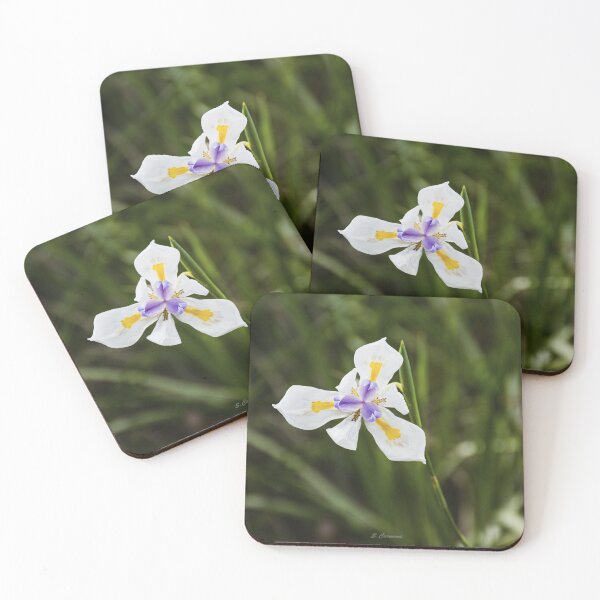 Item preview, White Grandiflora Wild Iris Botanical Flower Art designed and sold by AuraInkSC.