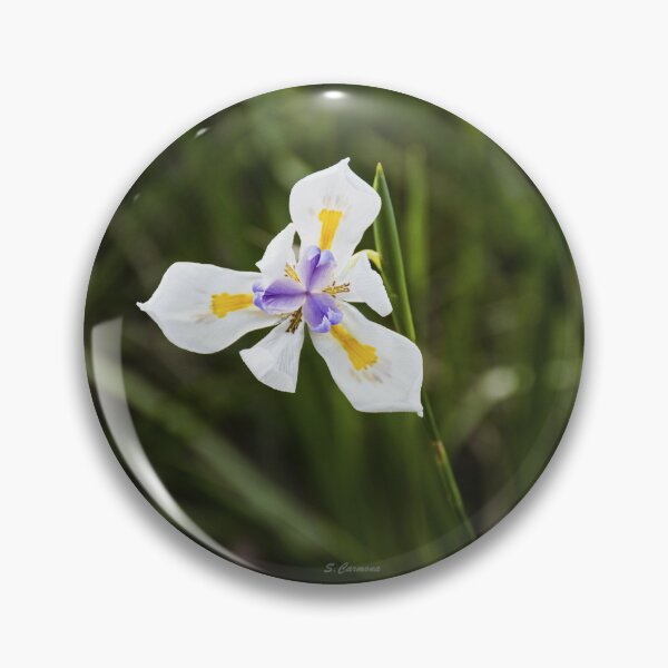 Item preview, White Grandiflora Wild Iris Botanical Flower Art designed and sold by AuraInkSC.