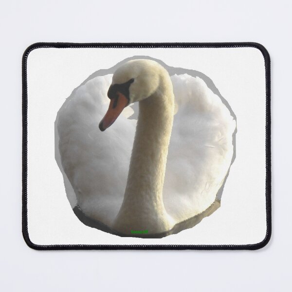 Item preview, This swan is the boss on this lake. designed and sold by ZoffArt-Shop.
