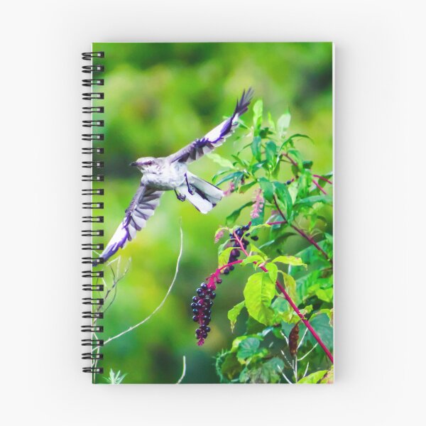 Item preview, Northern Mockingbird designed and sold by Birds & Beans Photography.