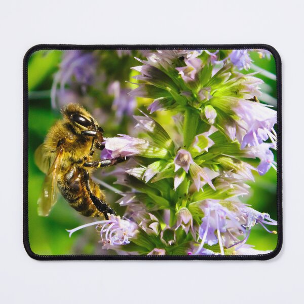 Item preview, Bee on Hyssop designed and sold by Birds & Beans Photography.