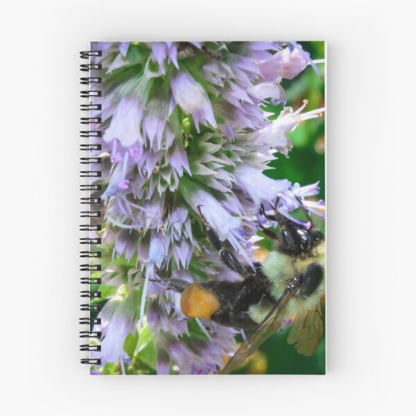 Item preview, Bumblebee on Hyssop designed and sold by Birds & Beans Photography.