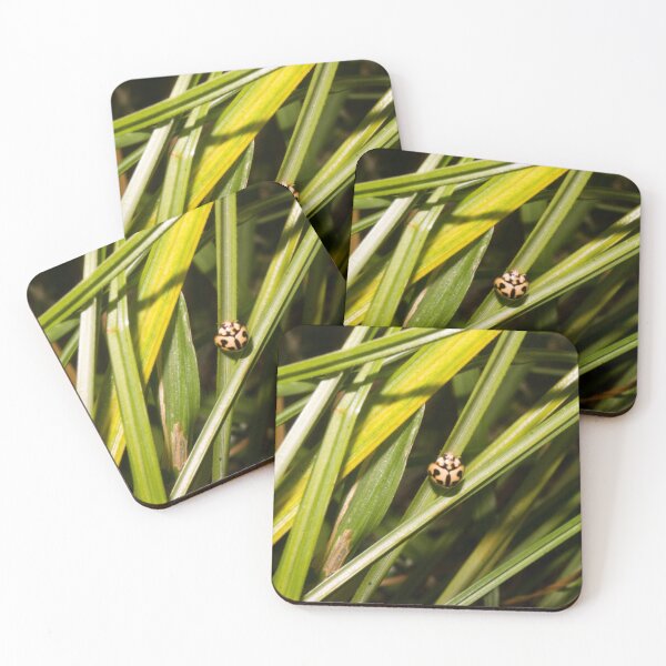 Item preview, Six-spotted Zigzag Ladybird Beetle designed and sold by ROSE ANN BANILAR.