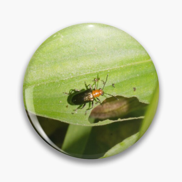 Item preview, shining leaf beetle designed and sold by ROSE ANN BANILAR.