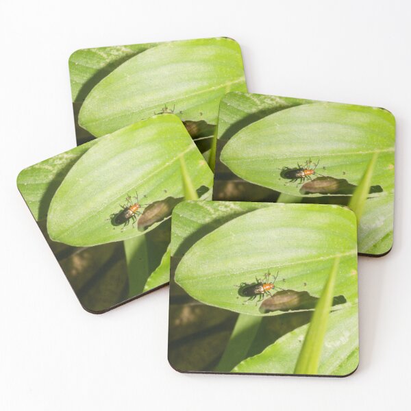 Item preview, shining leaf beetle designed and sold by ROSE ANN BANILAR.