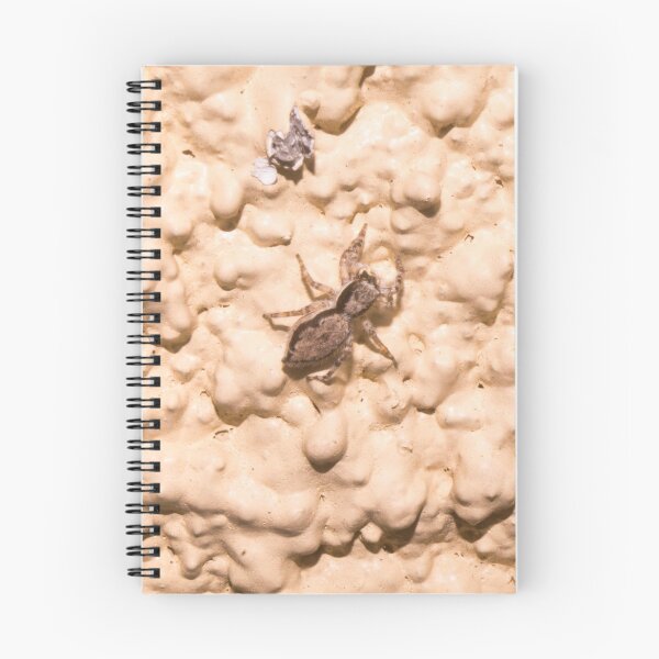 Item preview, wall jumper or tan jumping spider designed and sold by ROSE ANN BANILAR.