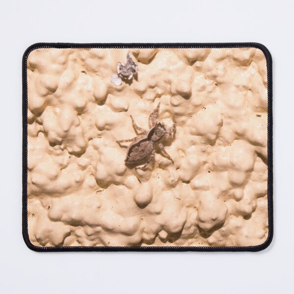 Item preview, wall jumper or tan jumping spider designed and sold by ROSE ANN BANILAR.
