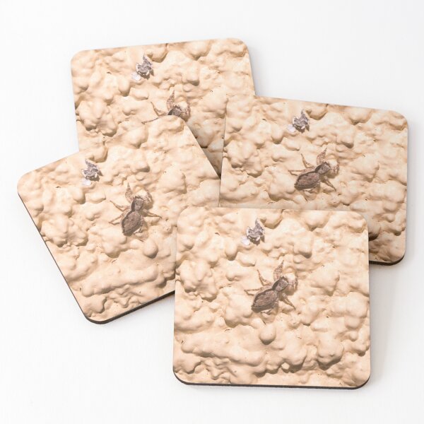 Item preview, wall jumper or tan jumping spider designed and sold by ROSE ANN BANILAR.