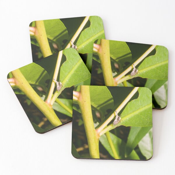 Item preview, treehopper designed and sold by ROSE ANN BANILAR.