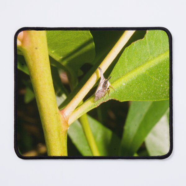 Item preview, treehopper designed and sold by ROSE ANN BANILAR.
