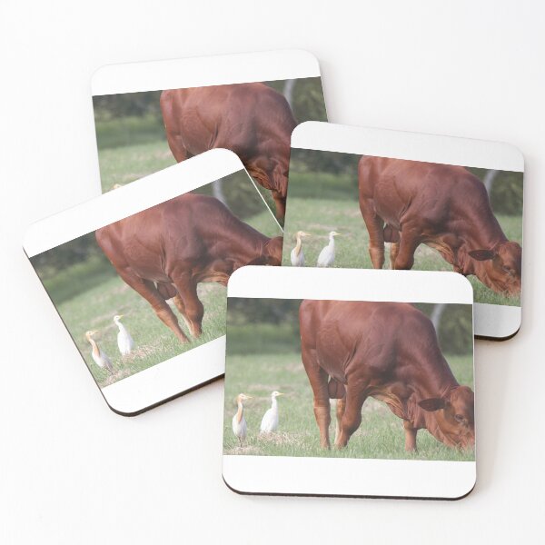 Item preview, Cattle Egret looking for insects to eat designed and sold by BirdsAlive.