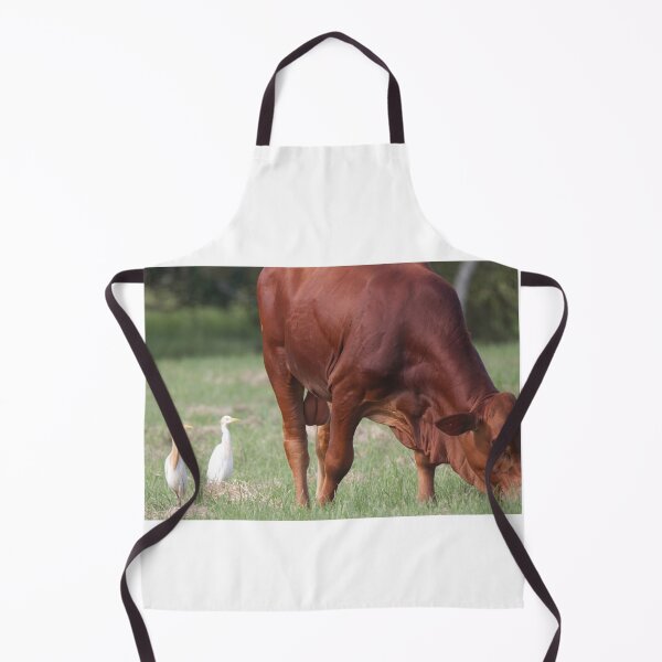 Item preview, Cattle Egret looking for insects to eat designed and sold by BirdsAlive.