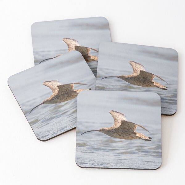 Item preview, Eastern Curlew in flight designed and sold by BirdsAlive.