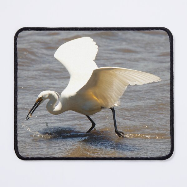 Item preview, Little Egret catching a fish designed and sold by BirdsAlive.